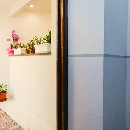 Apartment Mameli Nest *